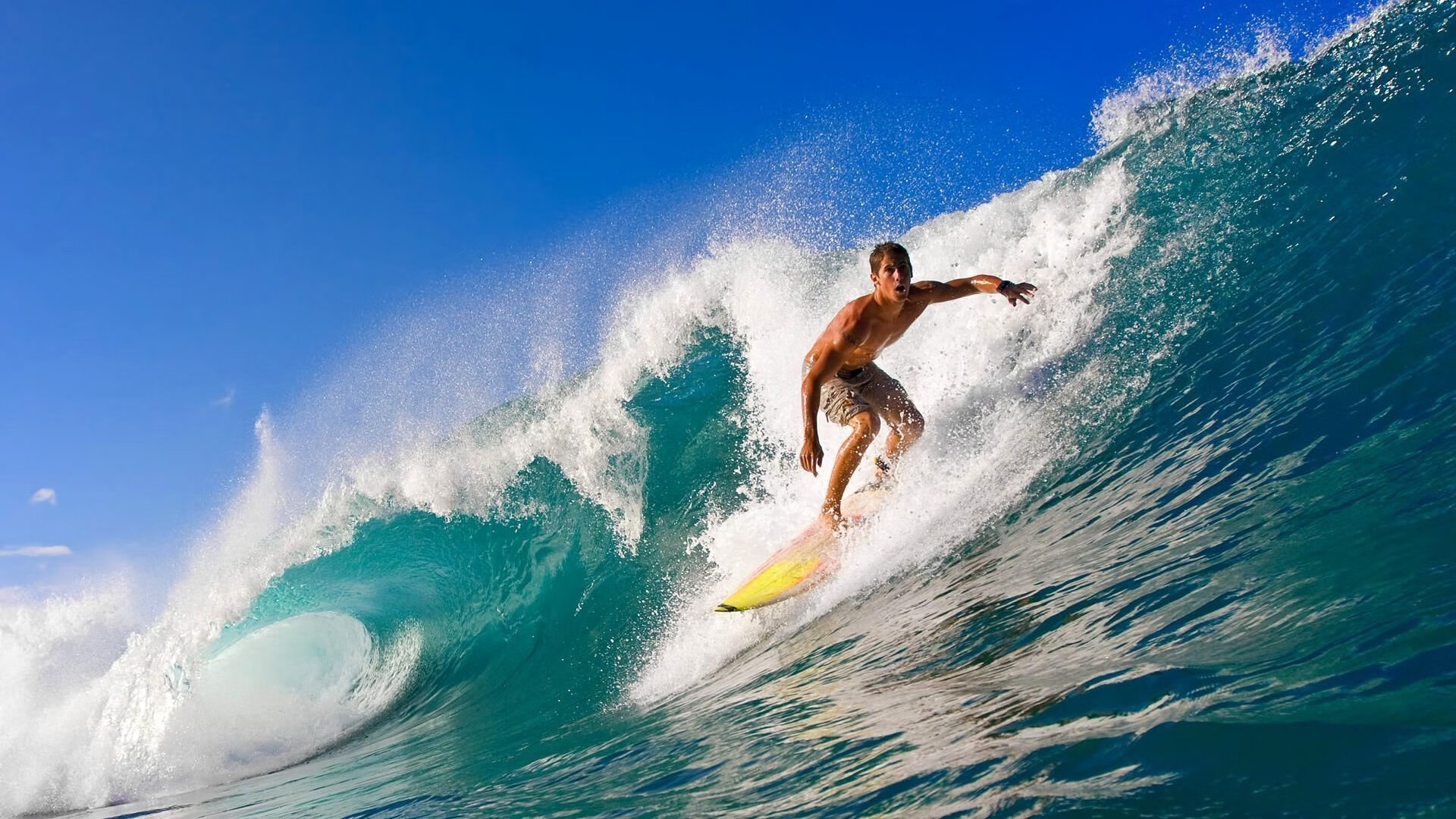 阿扎伦卡迎来十二赛季出色发挥，加拿大队观众热烈欢呼！赛场气氛高涨的简单介绍